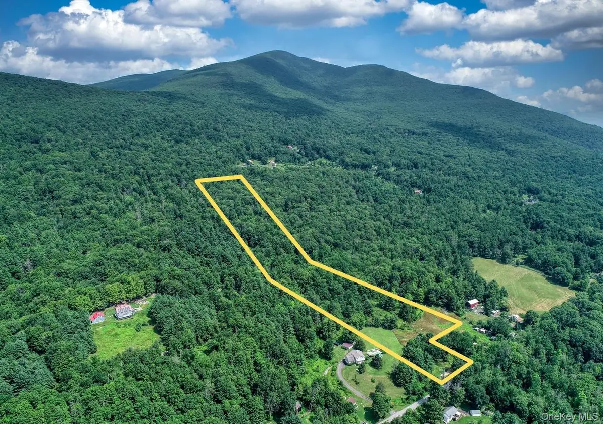 252 Upper Samsonville Road, Olivebridge, NY 12461 - Image #1