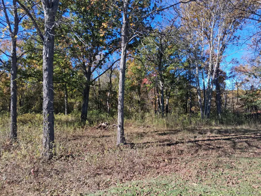 South Road, Germantown, NY 12526 - Image #3