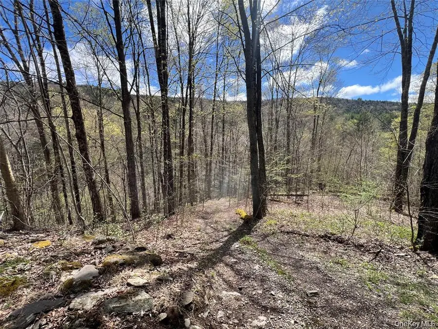 1042 Huntley Hollow Road, Delancey, NY 13752 - Image #3