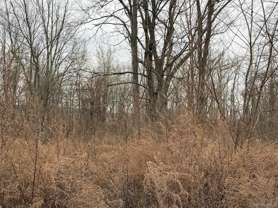 16 Knights Lane, Warwick, NY 10990 - Image #2