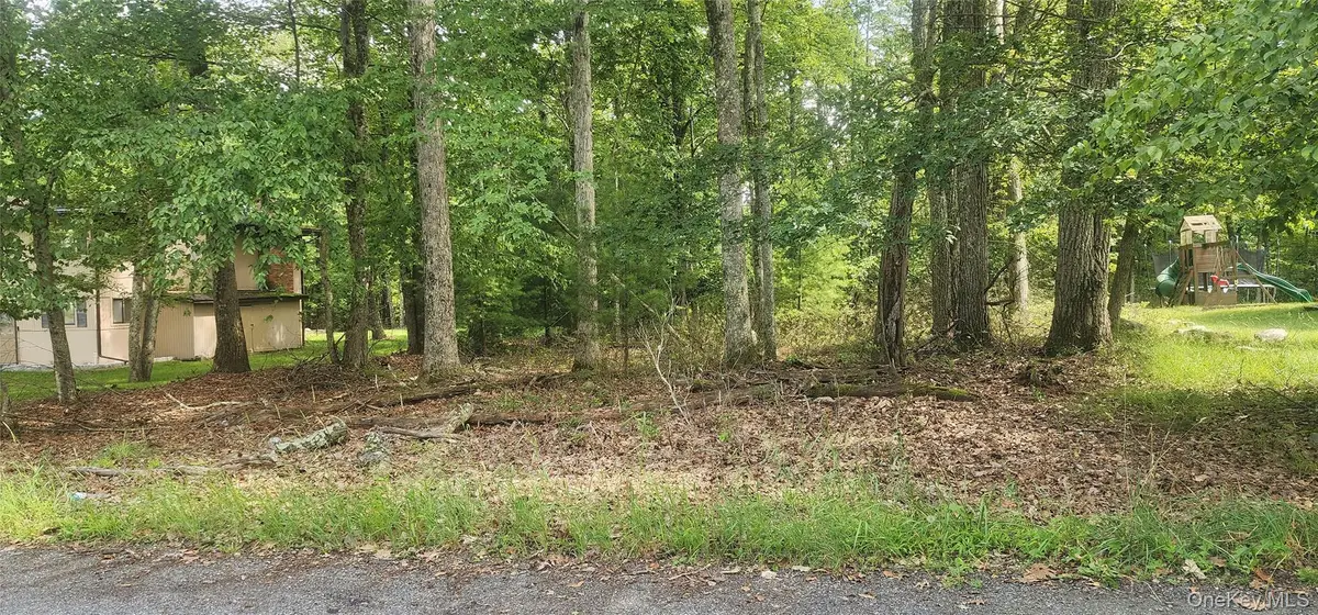 Chelsea Lane, Rock Hill, NY 12775 - Image #1