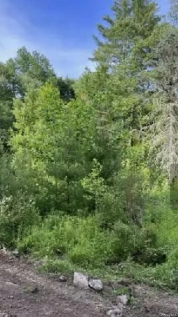 358/80 Ferguson Lane, Wurtsboro, NY 12790 - Image #3