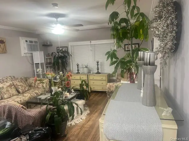 52 Mist Lane, Westbury, NY 11590 - Image #3