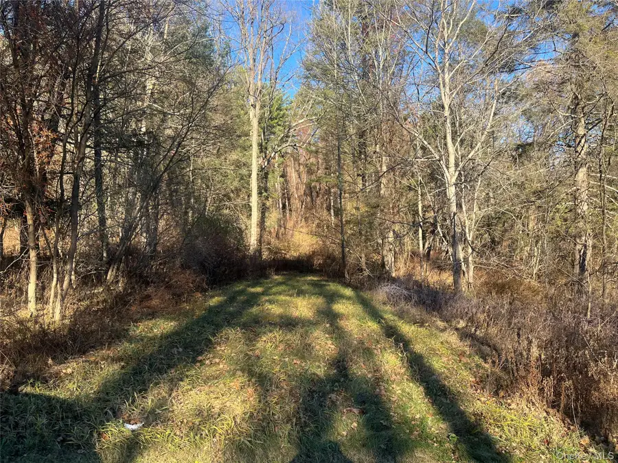 12 Pioneert, Copake, NY 12516 - Image #2