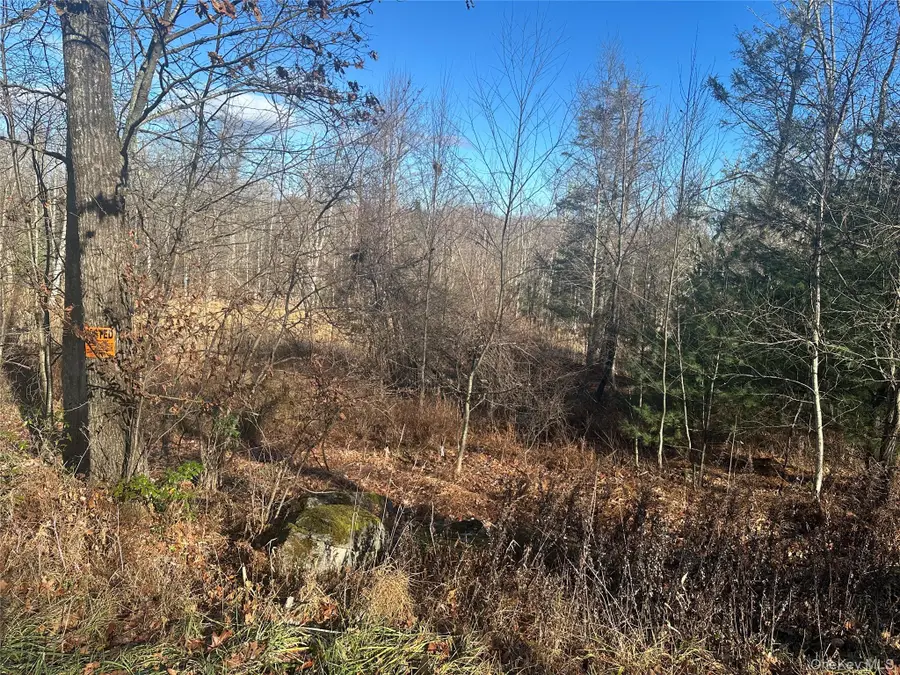 Oak Ridge, Ellenville, NY 12428 - Image #2