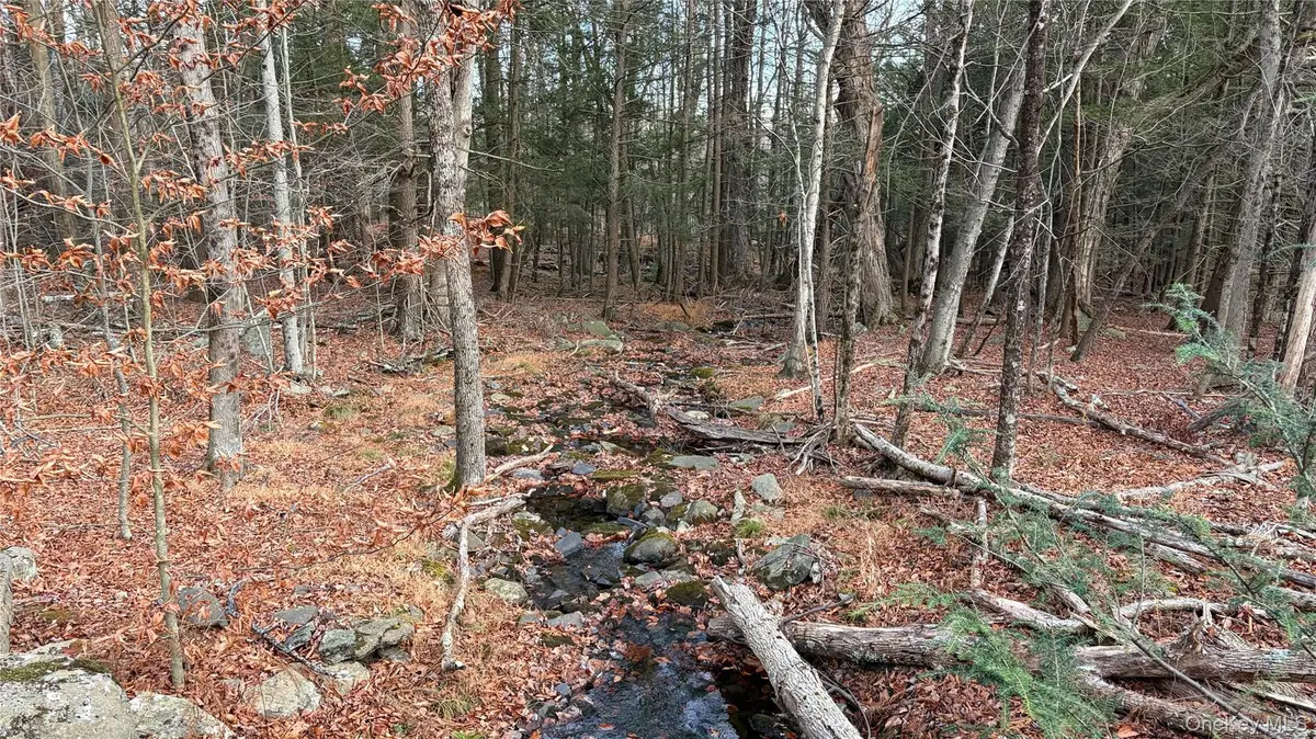 X Aldrich Road, Wurtsboro, NY 12790 - Image #1