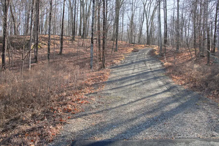 Electronics Road, Clinton Corners, NY 12514 - #3