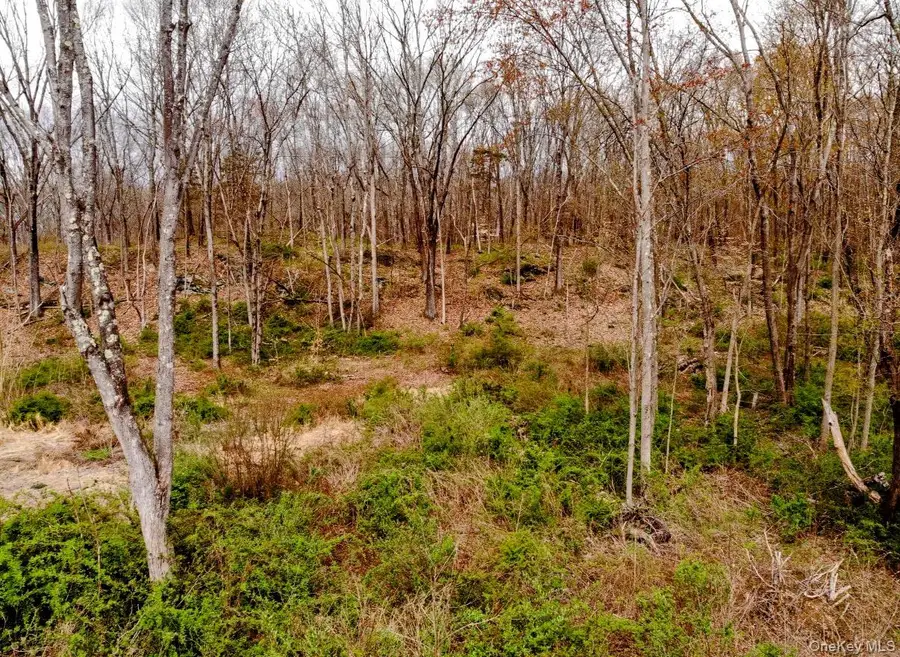 Wappinger Farm Estates, Lot 10, Robinson Lane, Wappingers Falls, NY 12590 - Image #2