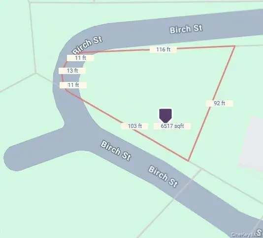 Birch Street, Bloomingburg, NY 12721 - Image #1