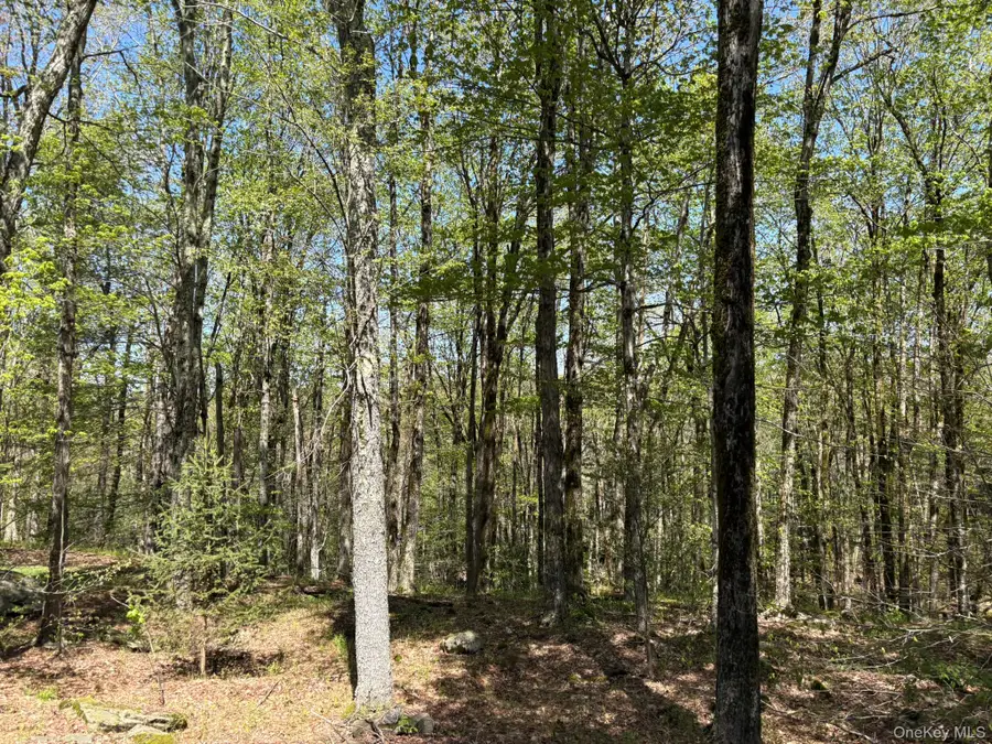 County Hwy 7, Roscoe, NY 12776 - #2