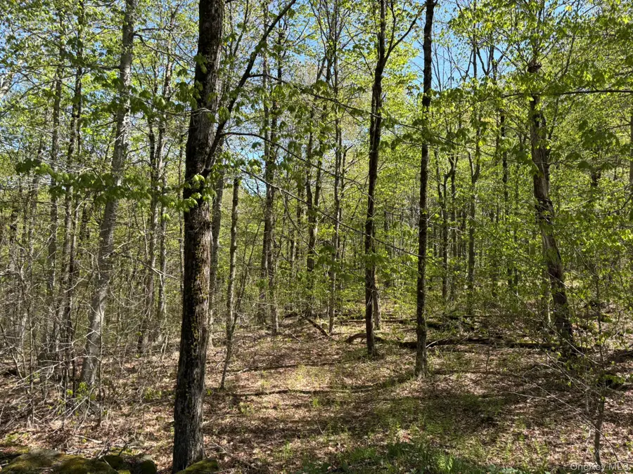 County Hwy 7, Roscoe, NY 12776 - #3