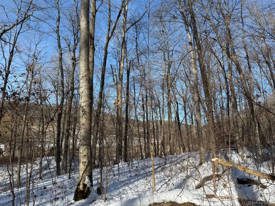 124 Cooper, Millerton, NY 12546 - Image #2