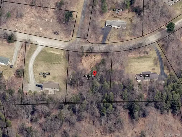 TBD Drake Road, Neversink, NY 12765
