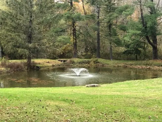 20 Abbeyfield Lane, Brewster, NY 10509 - Image #1