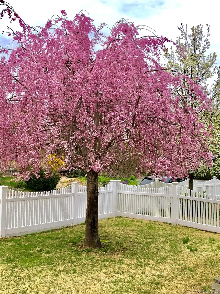 31 Jacobson Avenue, Huntington, NY 11743 - Image #3