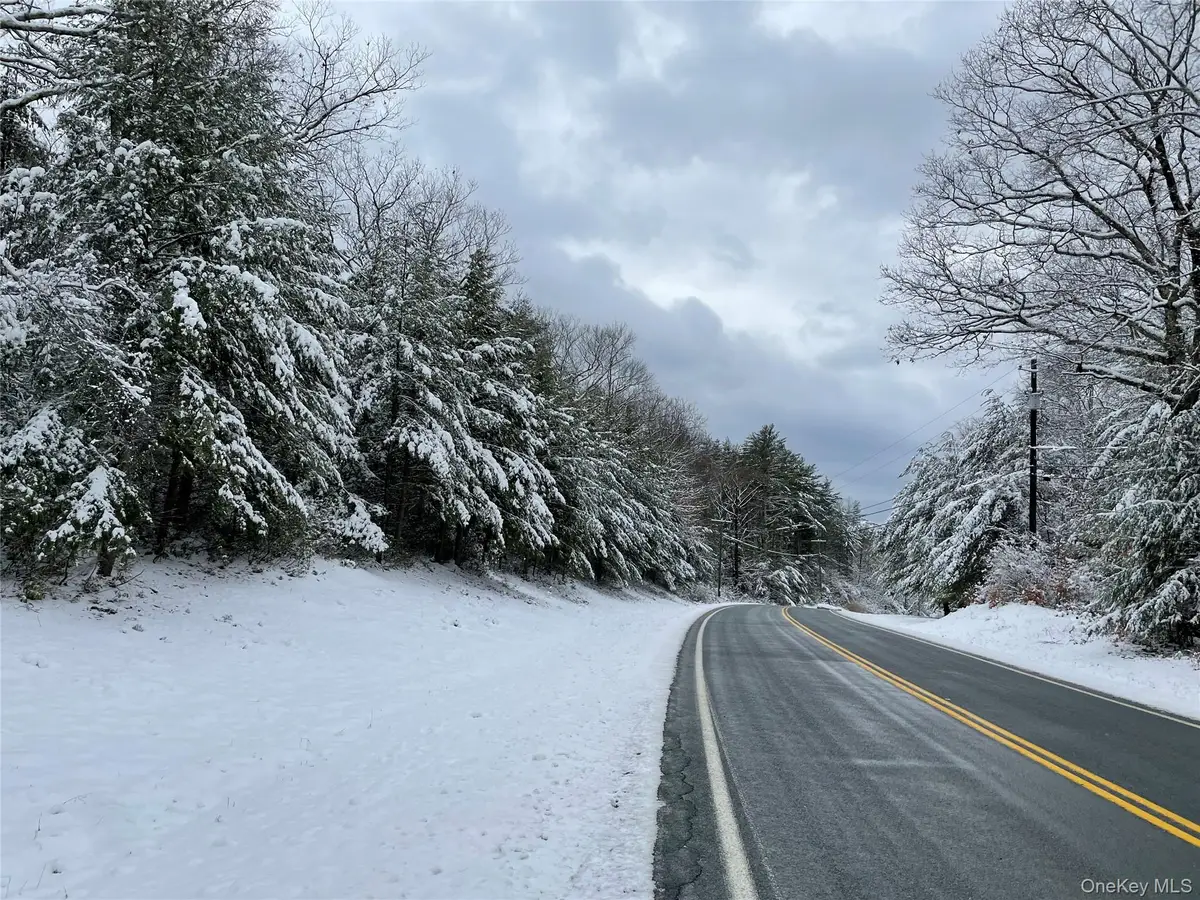 1315 Sackett Lake Rd, Forestburgh, NY 12777 - Image #1