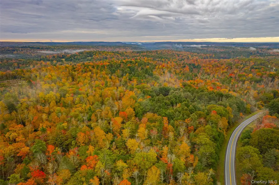 1315 Sackett Lake Rd, Forestburgh, NY 12777 - Image #2