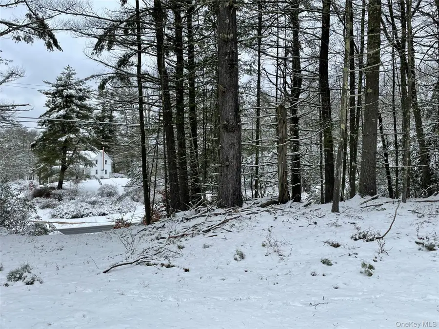 1315 Sackett Lake Rd, Forestburgh, NY 12777 - Image #3