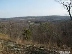 Greeley Road /rte 27, Craryville, NY 12521 - #2