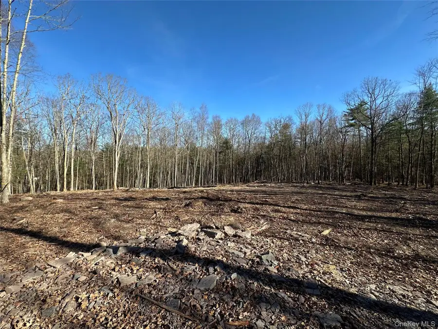 Lot 1.6 Foster (south) Trail, Narrowsburg, NY 12764 - Image #2
