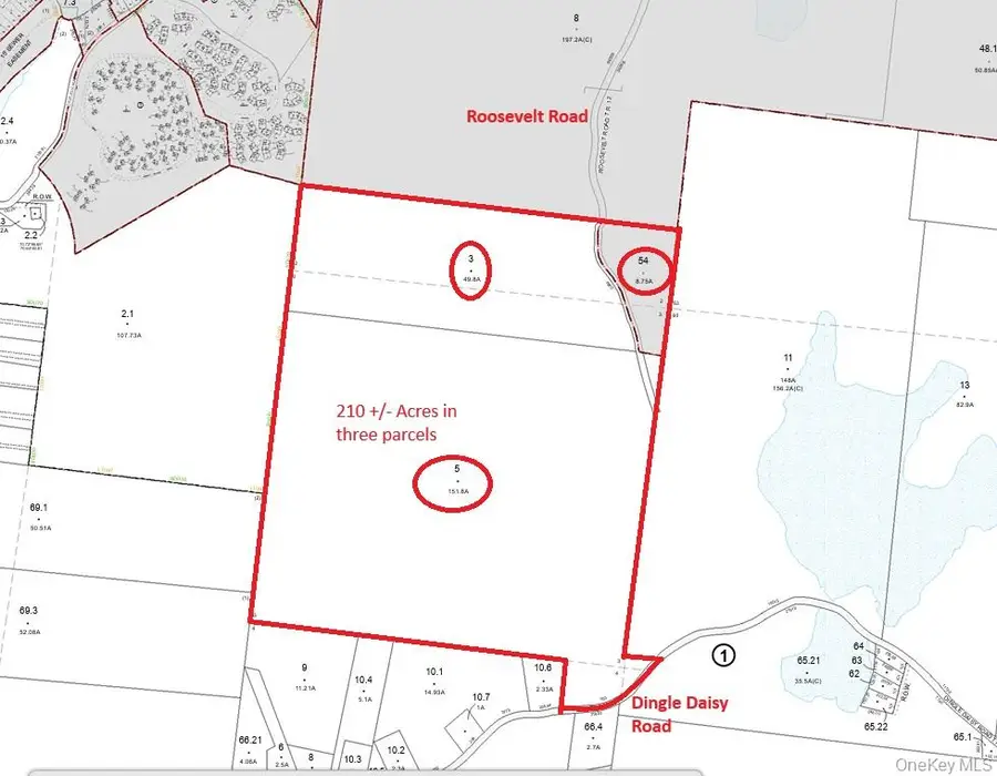 174 Dingle Daisy Road, Monticello, NY 12701 - Image #2