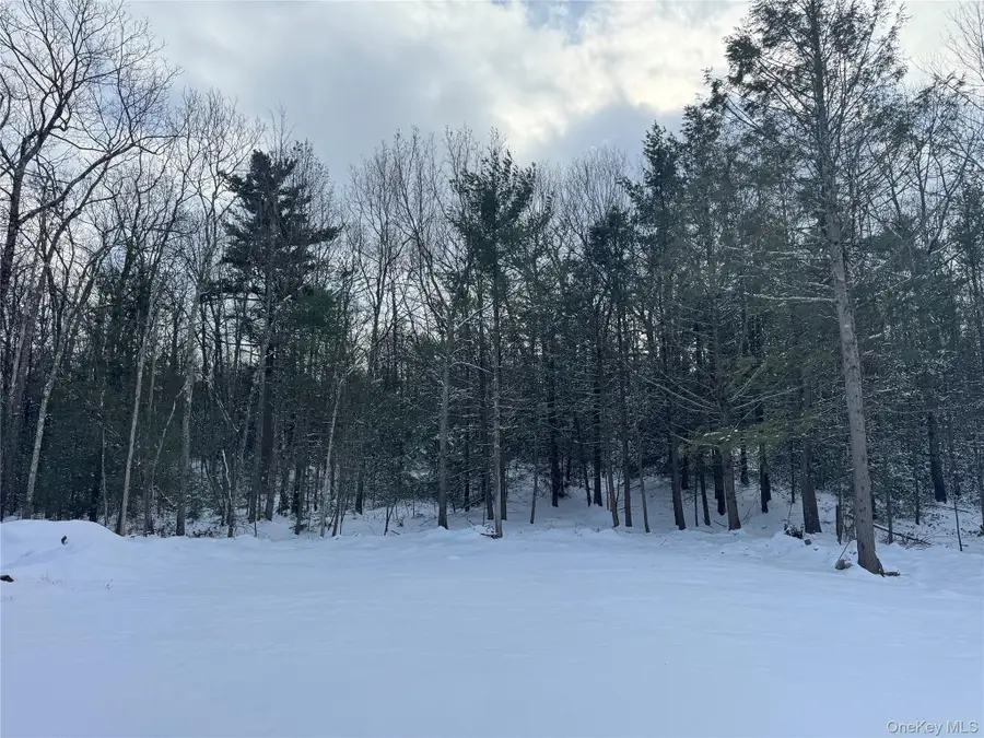 171 Renner Road, Fallsburg Town, NY 12733 - Image #3