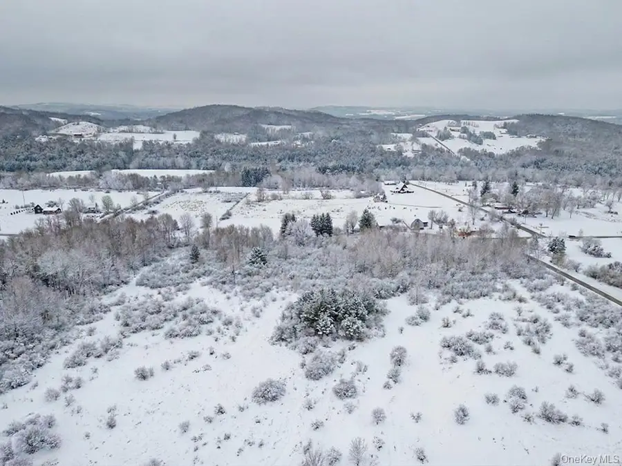 625 Beechwoods Road, Callicoon, NY 12723 - Image #3