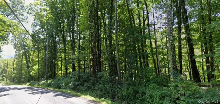 Briggs Hwy, Ellenville, NY 12428 - Image #2