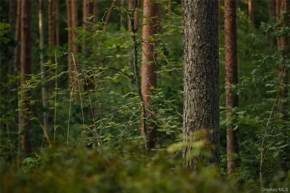 Melzingah Rsvr Road, Beacon, NY 12508 - Image #1