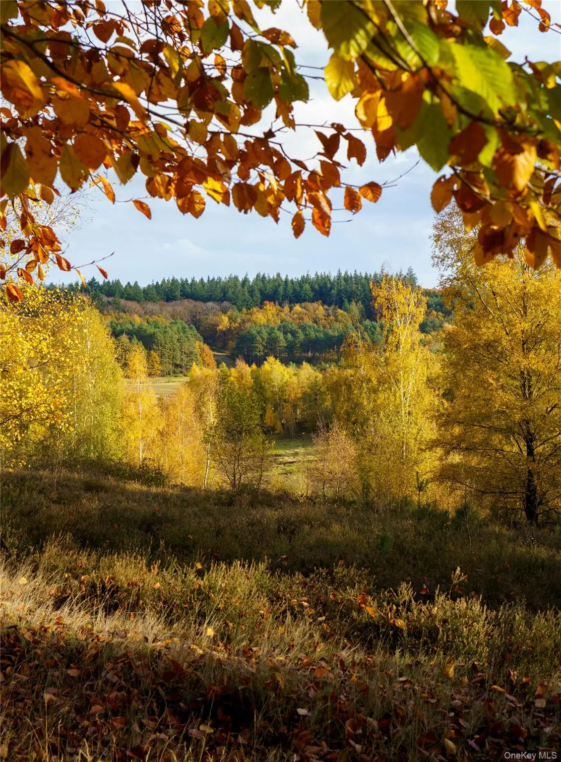 10 Hideaway Place, Beacon, NY 12508 - Image #1