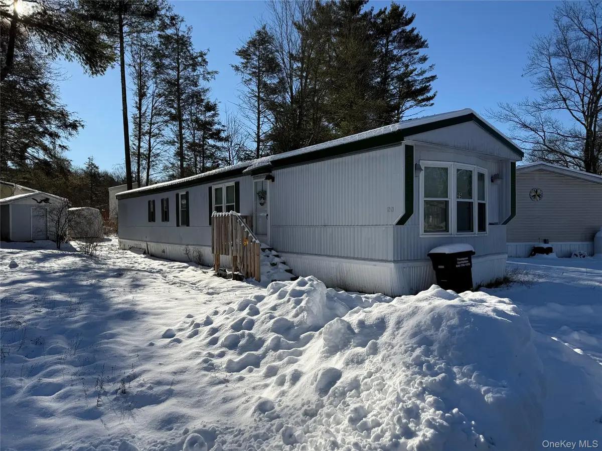 25 Pansy Lane, Monticello, NY 12701 - Image #1