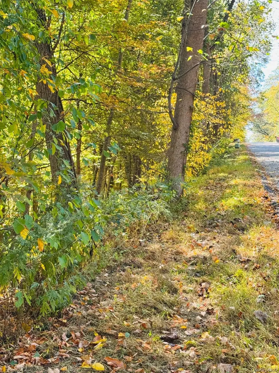 lot 10 Shamrock Drive, Putnam Valley, NY 10579 - Image #2