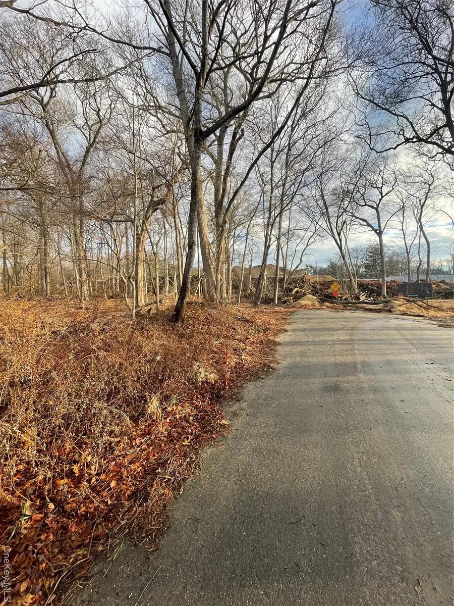 0 Daniel Lane, Middle Island, NY 11953 - #2
