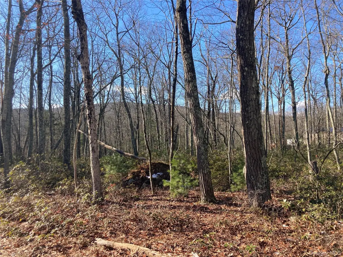 00 Hoeppner Drive, Wurtsboro, NY 12790 - #1