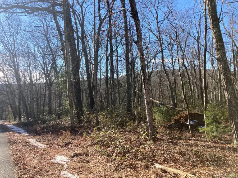 00 Hoeppner Drive, Wurtsboro, NY 12790 - #2