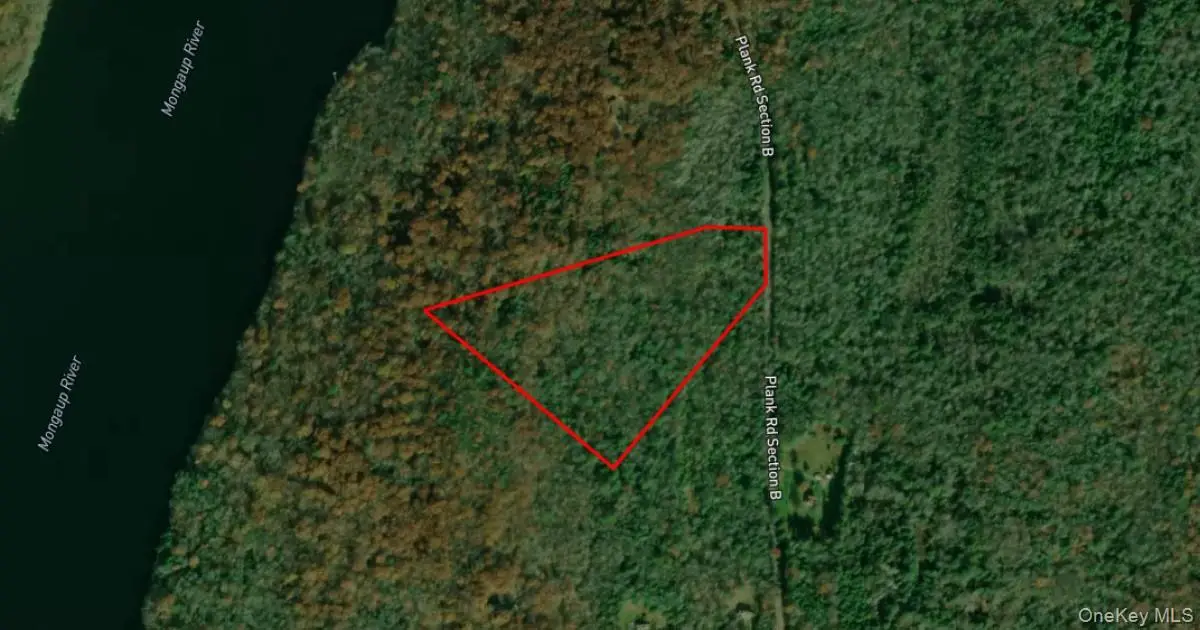 Lot 23 Plank Road, Forestburgh, NY 12777 - #1