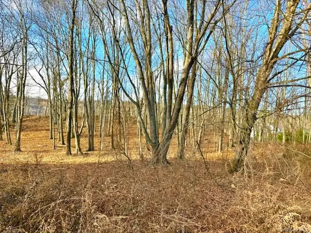 56 Route 209, Port Jervis, NY 12771 - Image #2