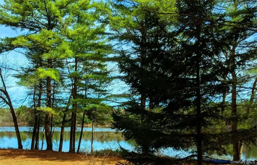 592 Proctor Road, Glen Spey, NY 12737 - Image #3