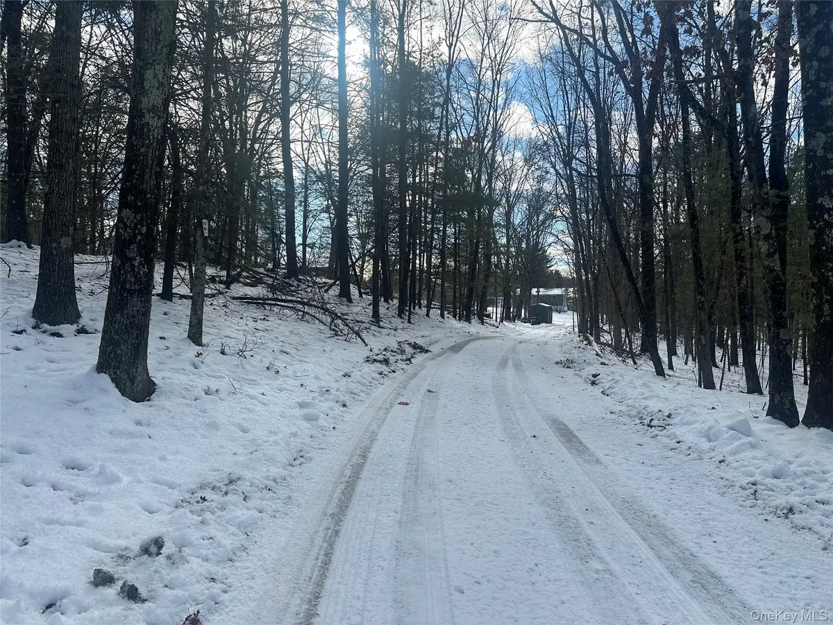 Cedar Drive, Elizaville, NY 12523 - Image #1