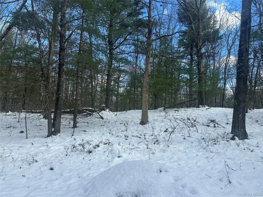 Cedar Drive, Elizaville, NY 12523 - Image #2