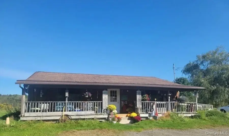 888 Route 41, Willet, NY 13863 - #2