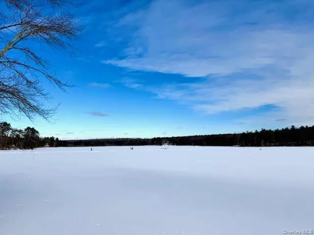 195 W Mohican Trail, Glen Spey, NY 12737 - Image #3