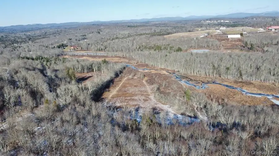 000 Mongaup Road, Fallsburg, NY 12733 - Image #3