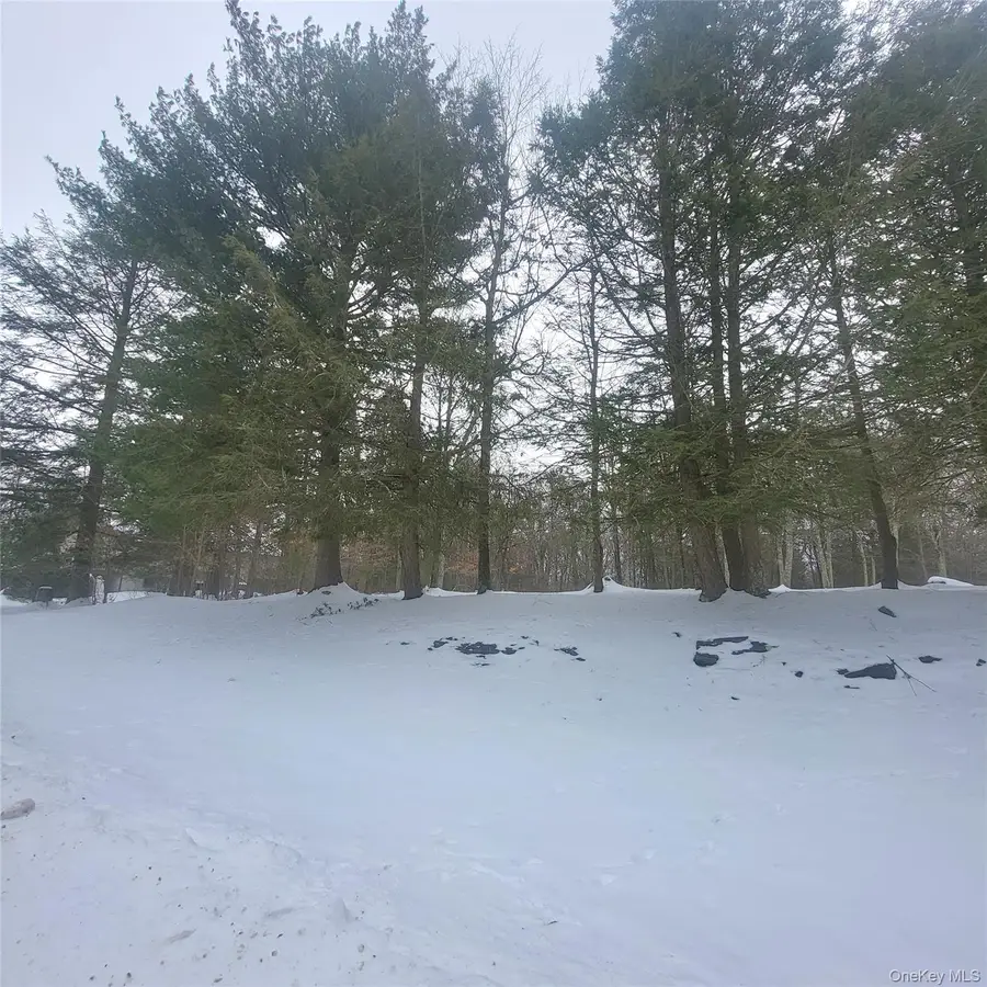 000 Roslyn Ridge Road, Bethel, NY 12720 - Image #3