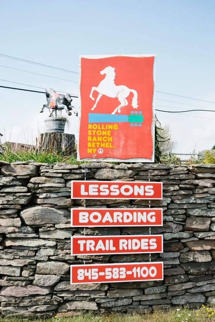 282 W Shore Road, Bethel, NY 12783 - #3