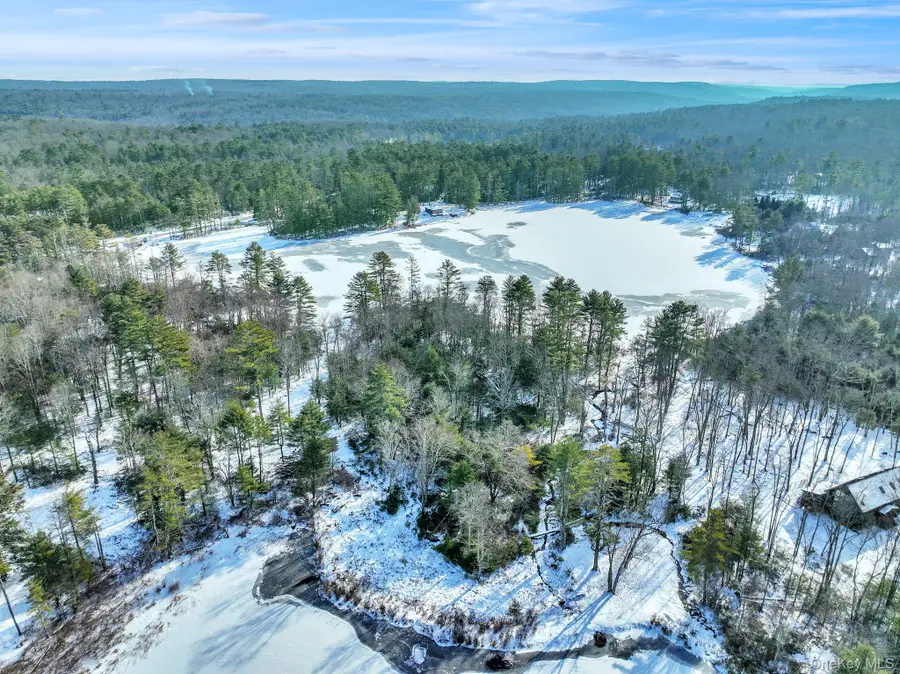 Lot  11.1 State Route 55 And Mail Road, Barryville, NY 12719 - Image #3