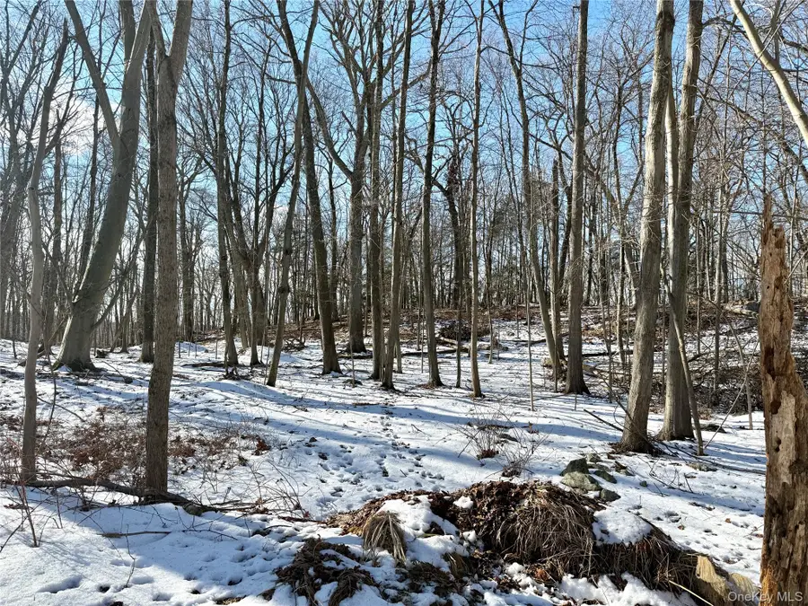 8 Maple Ridge Trail, North Salem, NY 10560 - Image #2