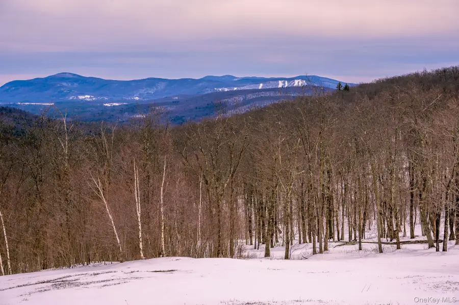 890 Bald Mountain Road, Austerlitz, NY 12017 - Image #3