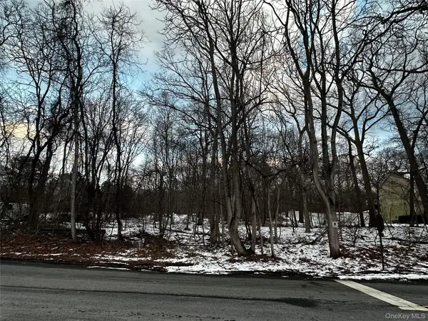 W Bartlett Road, Middle Island, NY 11953