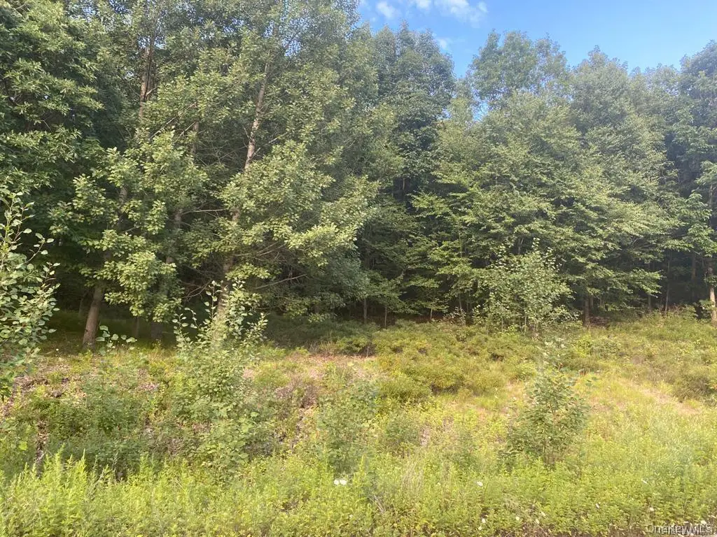 95 Halley Drive, Pomona, NY 10970 - Image #1